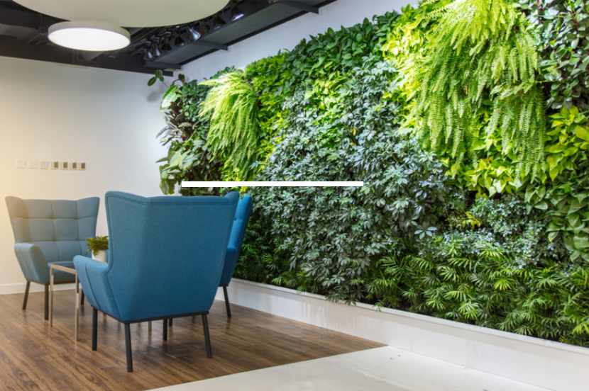 A living wall in hospital waiting area